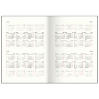 Еженедельник Buromax датированный 2026 PRIMAVERA, А5 черный (BM.2120-01) - Изображение 10