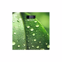 Ваги підлогові Brock BS 003 - Image 1