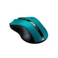 Мишка Canyon MW-5 Wireless Green-Black (CNE-CMSW05G) - 1