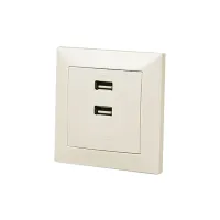 USB розетка REAL-EL Розетка USB (Comfort-60025-C) - 1