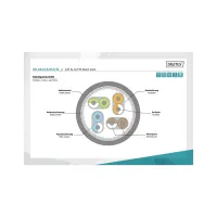 Патч-корд 1м, CAT 6a S-FTP, AWG 26/7, Cu, LSZH, blue Digitus (DK-1644-A-010/B) - 4