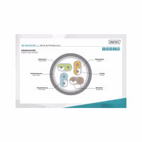 Патч-корд 15м, CAT 6a S-FTP, AWG 26/7, Cu, LSZH, grey Digitus (DK-1644-A-150) - Image 2