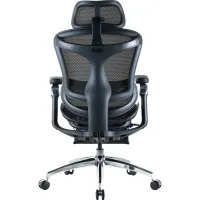 Офісне крісло Sihoo Крісло офісне з підставкою для ніг Sihoo DORO C300 Pro Mesh Black with (DORO-C300-PRO-M101-JT) - Зображення 2