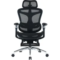 Офісне крісло Sihoo Крісло офісне з підставкою для ніг Sihoo DORO C300 Pro Mesh Black with (DORO-C300-PRO-M101-JT) - Зображення 1