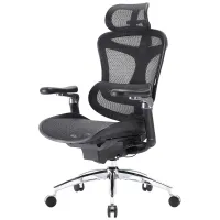 Офісне крісло Sihoo DORO C300 Pro Mesh Black (DORO-C300-PRO-M101) - Зображення 1