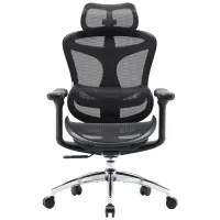 Офісне крісло Sihoo DORO C300L Mesh Black (DORO-C300L-A3-101) - Зображення 2