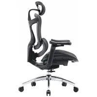 Офісне крісло Sihoo DORO C300L Mesh Black (DORO-C300L-A3-101) - Зображення 4