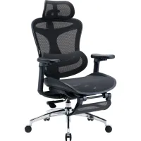 Офісне крісло Sihoo з підставкою для ніг DORO C300L Mesh Black with footrest (DORO-C300L-A3-101-JT) - Зображення 3
