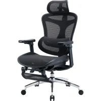 Офісне крісло Sihoo з підставкою для ніг DORO C300L Mesh Black with footrest (DORO-C300L-A3-101-JT) - Зображення 4