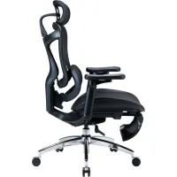 Офісне крісло Sihoo з підставкою для ніг DORO C300L Mesh Black with footrest (DORO-C300L-A3-101-JT) - Зображення 5