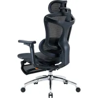 Офісне крісло Sihoo з підставкою для ніг DORO C300L Mesh Black with footrest (DORO-C300L-A3-101-JT) - Зображення 6