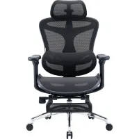 Офісне крісло Sihoo з підставкою для ніг DORO C300L Mesh Black with footrest (DORO-C300L-A3-101-JT) - Зображення 1