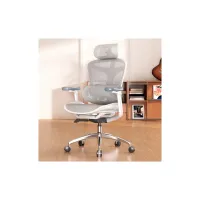 Офисное кресло Sihoo DORO C300L Mesh White (DORO-C300L-A3-102) - Изображение 5