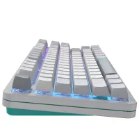 Клавіатура Dark Project ALU87 Daylight ABS RGB Mech G3MS Zircon White/Grey (DPKB_DAYLIGHT_87_ANSI_UA) - 7