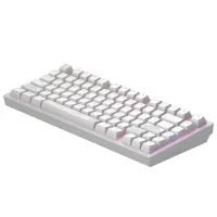 Клавіатура Dark Project ALU81 Terra Nostra PBT RGB Mech G3MS Moonstone White (DPKB_NOSTRA_81_ANSI_WHITE_UA) - 5