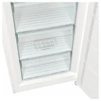 Морозильна камера Gorenje FN619EEW5 - 11