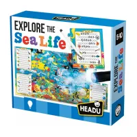 Пазл Headu Исследуйте морскую жизнь (IT22311) - Изображение 1