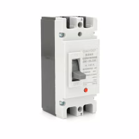Автоматичний вимикач Voltronic JSM1-125L/2300, 100A - Image 1