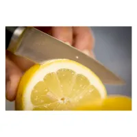 Кухонный нож Tefal Ice Force 9 см (K2320514) - Изображение 5