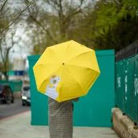 Парасоля Fulton L884-040171 National Gallery Minilite-2 UV Sunflowers (L884-040171) - 5