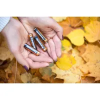 Батарейка Panasonic LR06 Alkaline Power * 20 (LR6REB/20BW) - 3