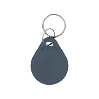 Брелок з чіпом Trinix P-key RW gray - 2