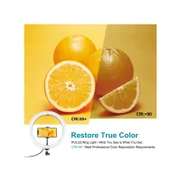 Набір блогера Puluz Ring USB LED lamp PKT3084B 4.7" + table stand (PKT3084B) - 6