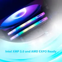 Модуль пам'яті для комп'ютера DDR5 32GB (2x16GB) 7000 MHz Viper Elite 5 RGB Patriot (PVER532G70C32KW) - 10