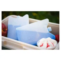 Акумулятор холоду Quest гелевий 15х10х2 см, 200 мл (Q200) - Зображення 4