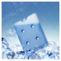 Акумулятор холоду Quest гелевий 23х17,5х2,5 см, 800 мл (Q800) - 2