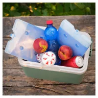 Акумулятор холоду Quest гелевий 23х17,5х2,5 см, 800 мл (Q800) - 4