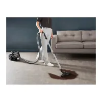 Пилосос Rowenta RO4B25EA - Изображение 7