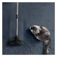 Пилосос Rowenta RO7C66EA - Зображення 6