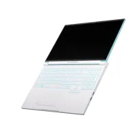 Ноутбук Thunderobot RS16 (RS16-I9139HX56E1Q240ARC) - 7