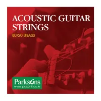 Струни для гітари Parksons Acoustic L (11-50) (S1150) - Зображення 1