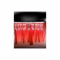 Гребінець для волосся Xiaomi SC001 - Image 4