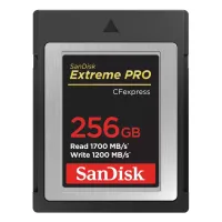 Карта пам'яті SanDisk 256GB CFexpress Extreme Pro (SDCFE-256G-GN4NN) - Зображення 1