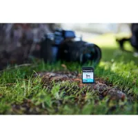 Карта пам'яті Kingston 64GB SDXC сlass 10 UHS-I U3 V30 Canvas Go Plus G4 (SDG4/64GB) - 5