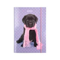 Папка для зошитів Kite В5 на гумці Studio Pets, картон (SP23-210) - 2