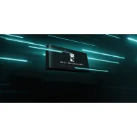 Накопичувач SSD USB Type-C 2TB XS1000 Kingston (SXS1000/2000GA) - 10