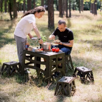 Стул складной Tribe Camp Chair Low пластиковий Black (T-EF-0001-black) - Image 11