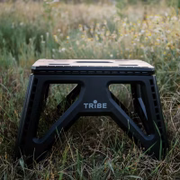 Стул складной Tribe Camp Chair Low пластиковий Black (T-EF-0001-black) - Image 9