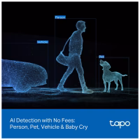 Камера видеонаблюдения TP-Link TAPO-C246D - Image 12