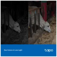 Камера відеоспостереження TP-Link TAPO-C320WS - 9