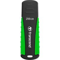 USB флеш накопичувач Transcend 256GB JetFlash 810 USB 3.1 (TS256GJF810) - 1
