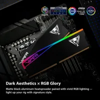 Модуль пам'яті для комп'ютера DDR5 32GB (2x16GB) 6400 MHz Viper Elite 5 Ultra RGB Patriot (VEUR532G6432K) - 9