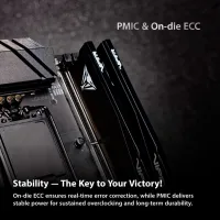 Модуль пам'яті для комп'ютера DDR5 32GB (2x16GB) 6400 MHz Viper Elite 5 Ultra RGB Patriot (VEUR532G6432K) - 10