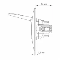 Розетка Videx BINERA 1ая із заземленням і кришкою (VF-BNSK) - 5