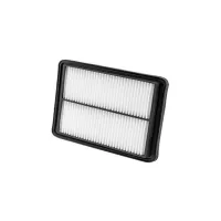 Повітряний фільтр для автомобіля Wixfiltron WA9788 - 1