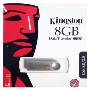 USB флеш накопитель Kingston SE9 8Gb (DTSE9H) (Гарантия 3года)